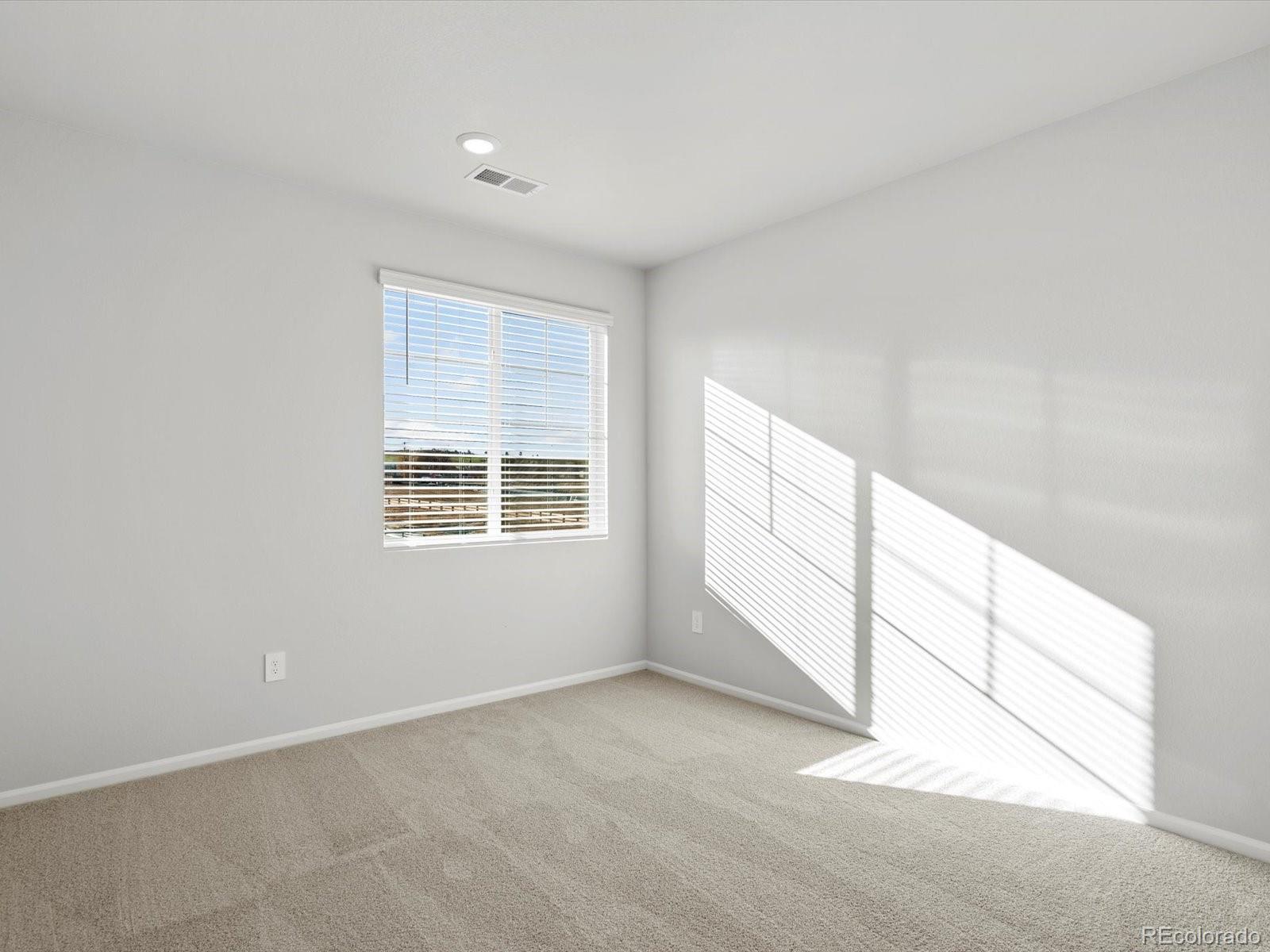 MLS Image #25 for 1622  rumley creek drive,windsor, Colorado