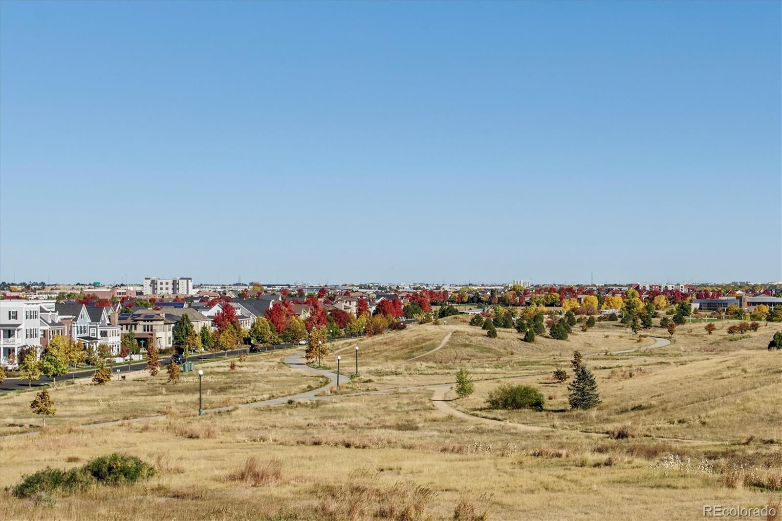 MLS Image #42 for 9729 e 34th place,denver, Colorado