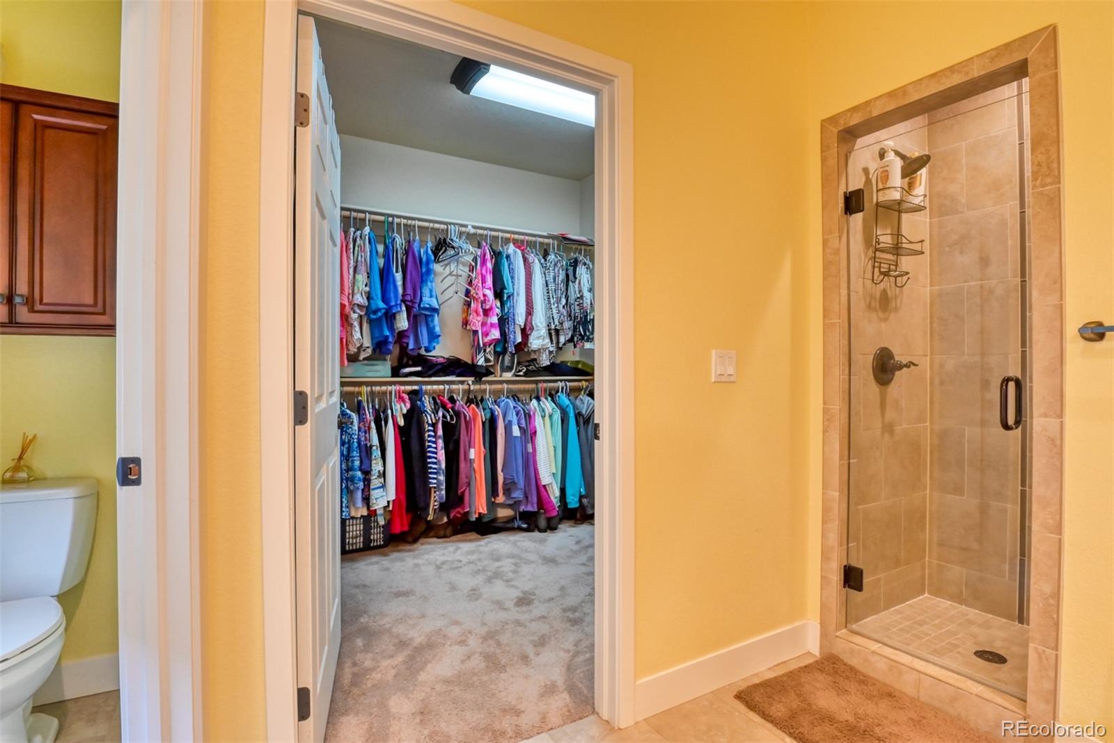 MLS Image #19 for 8161  regiment court,colorado springs, Colorado