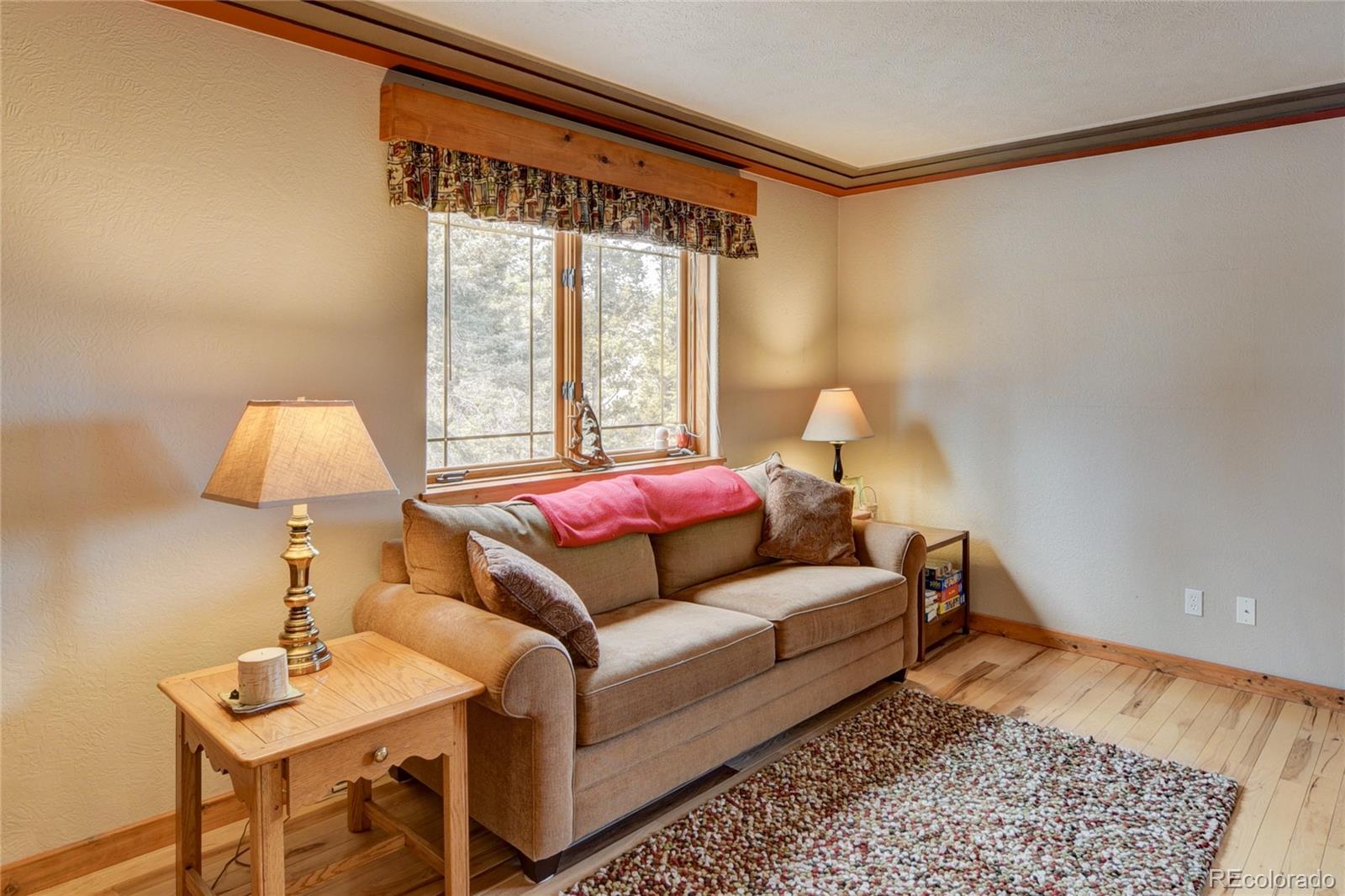 MLS Image #19 for 105  ladigo lane,hartsel, Colorado