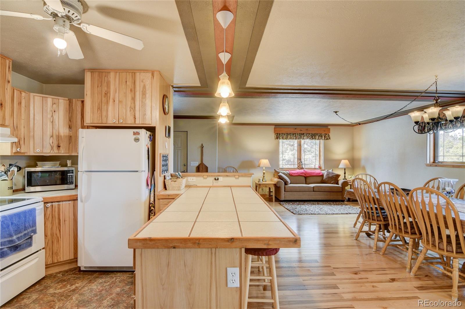 MLS Image #26 for 105  ladigo lane,hartsel, Colorado