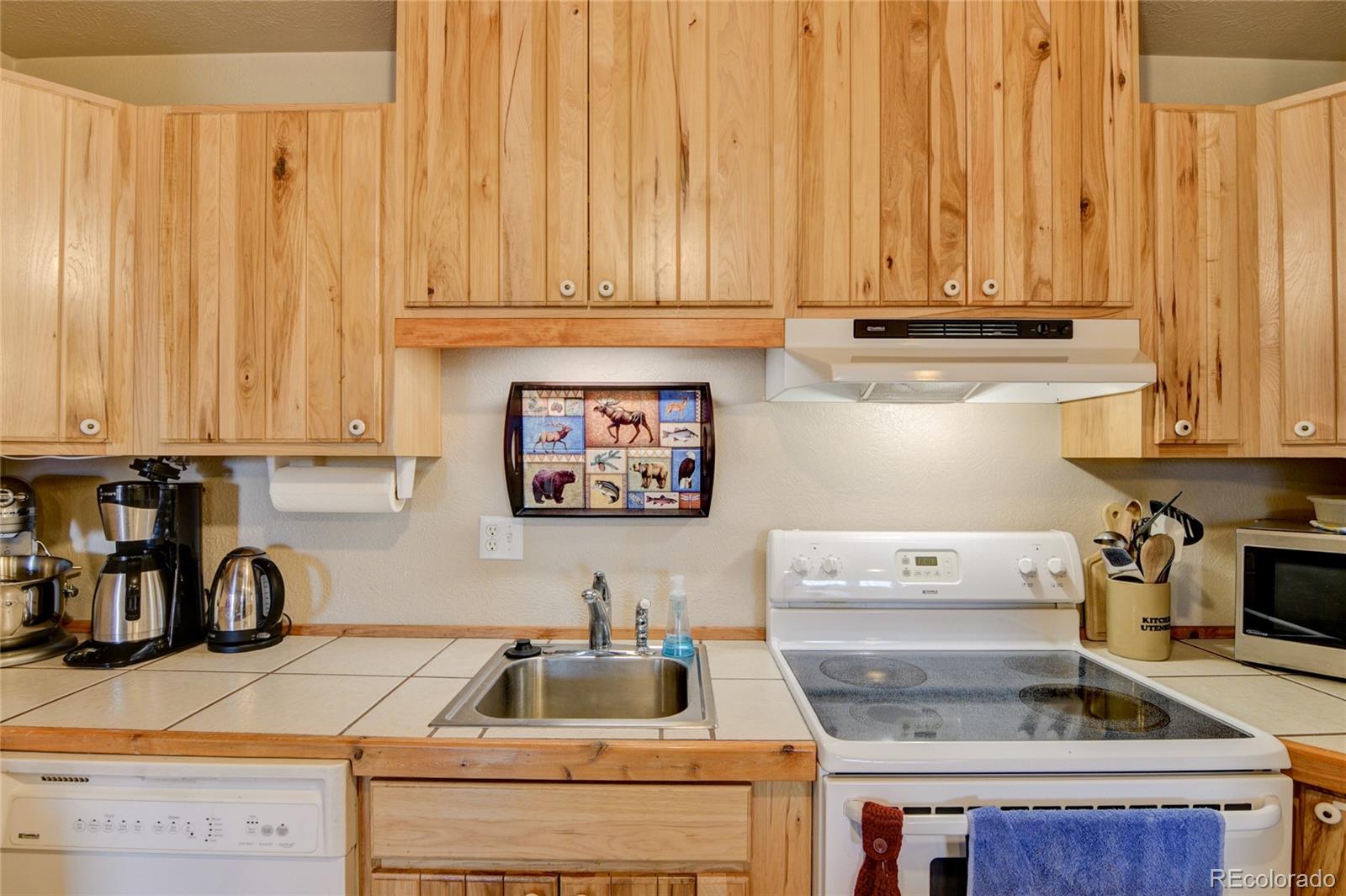 MLS Image #27 for 105  ladigo lane,hartsel, Colorado