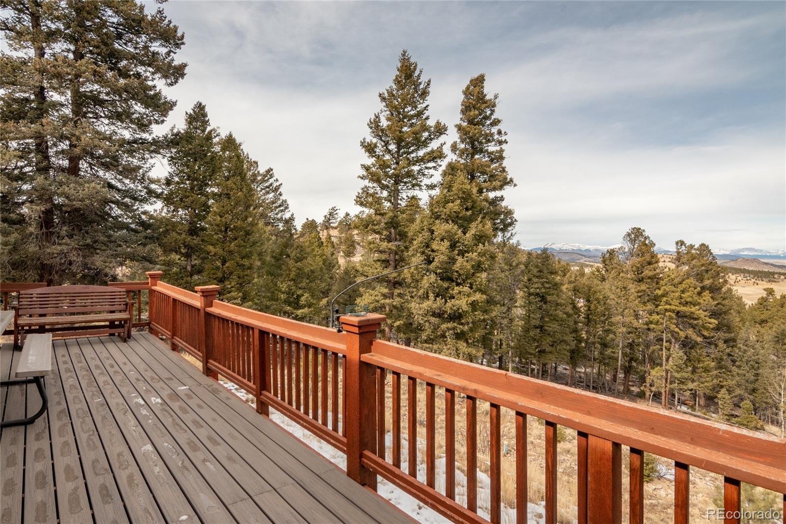 MLS Image #3 for 105  ladigo lane,hartsel, Colorado