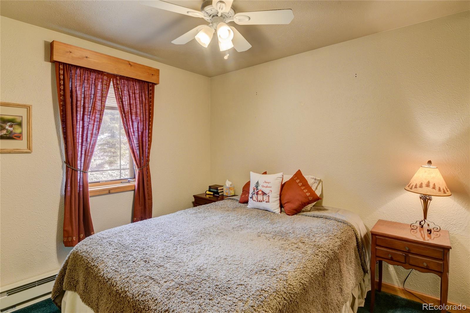 MLS Image #39 for 105  ladigo lane,hartsel, Colorado