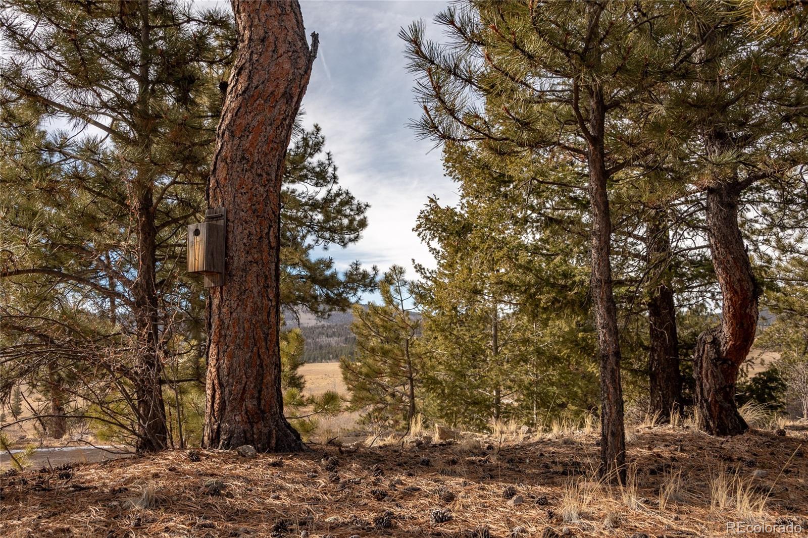 MLS Image #44 for 105  ladigo lane,hartsel, Colorado