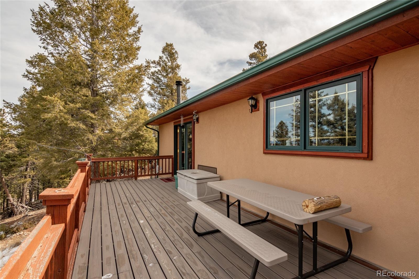 MLS Image #5 for 105  ladigo lane,hartsel, Colorado