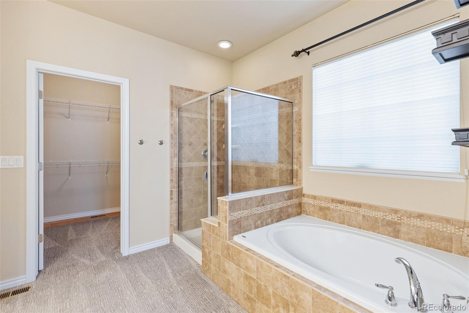 MLS Image #16 for 8014  noble fir court,colorado springs, Colorado