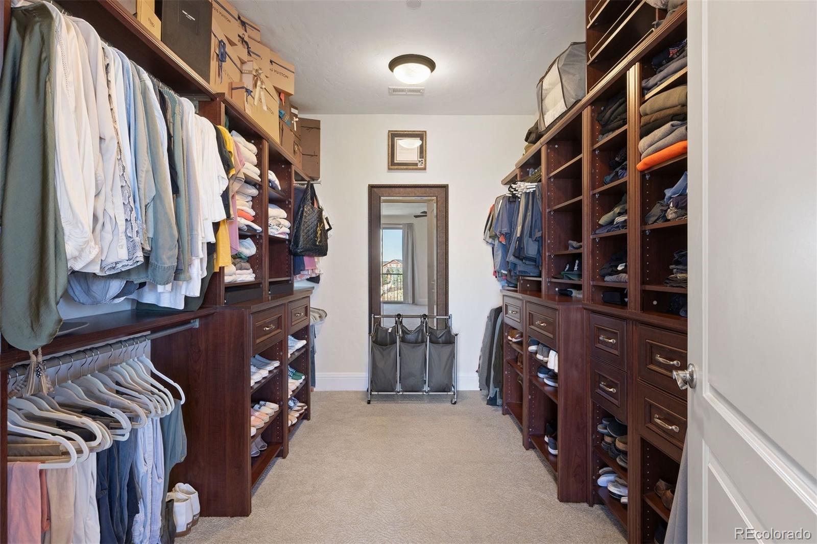 MLS Image #19 for 7343  upton court,castle rock, Colorado