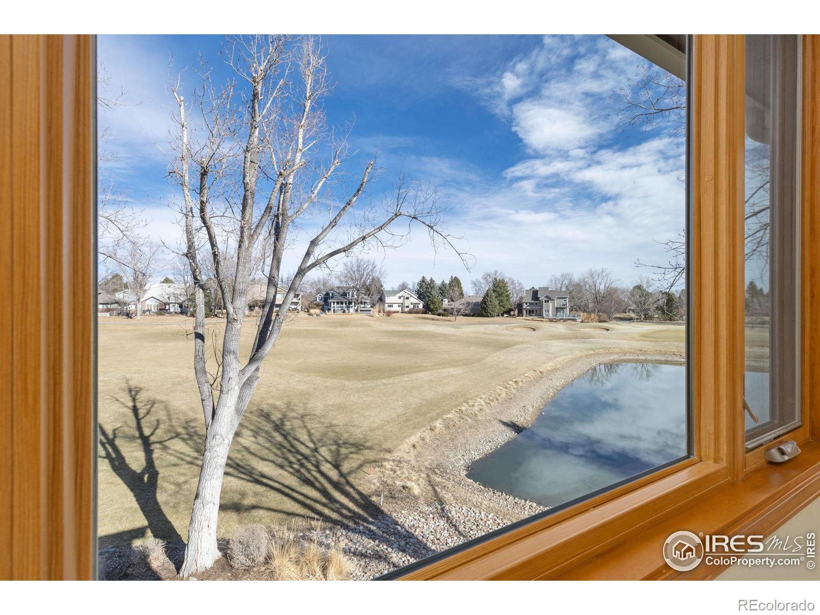 MLS Image #21 for 567  manorwood lane,louisville, Colorado
