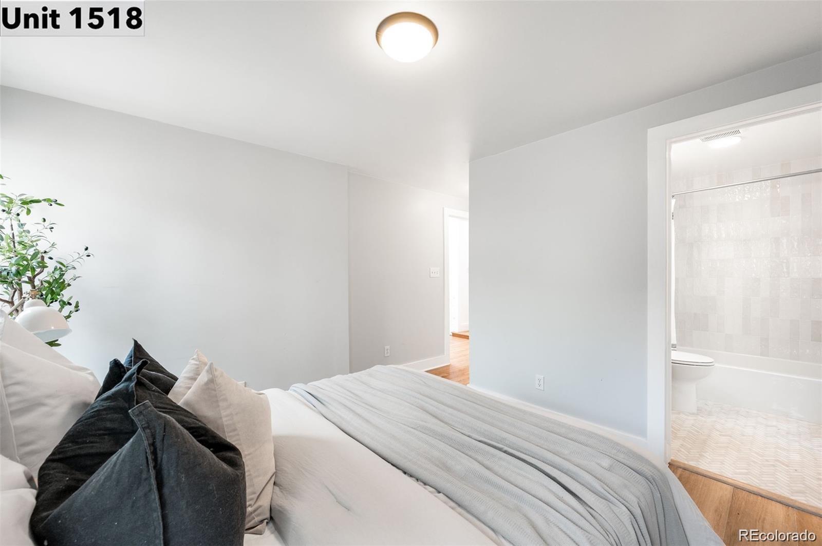 MLS Image #14 for 1518 s sherman street,denver, Colorado