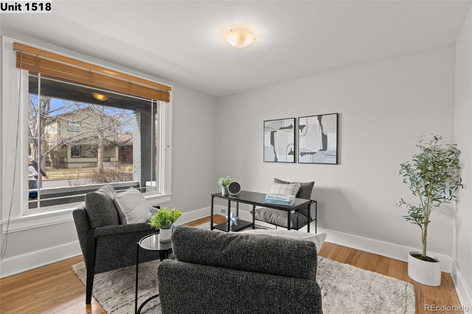 MLS Image #20 for 1518 s sherman street,denver, Colorado