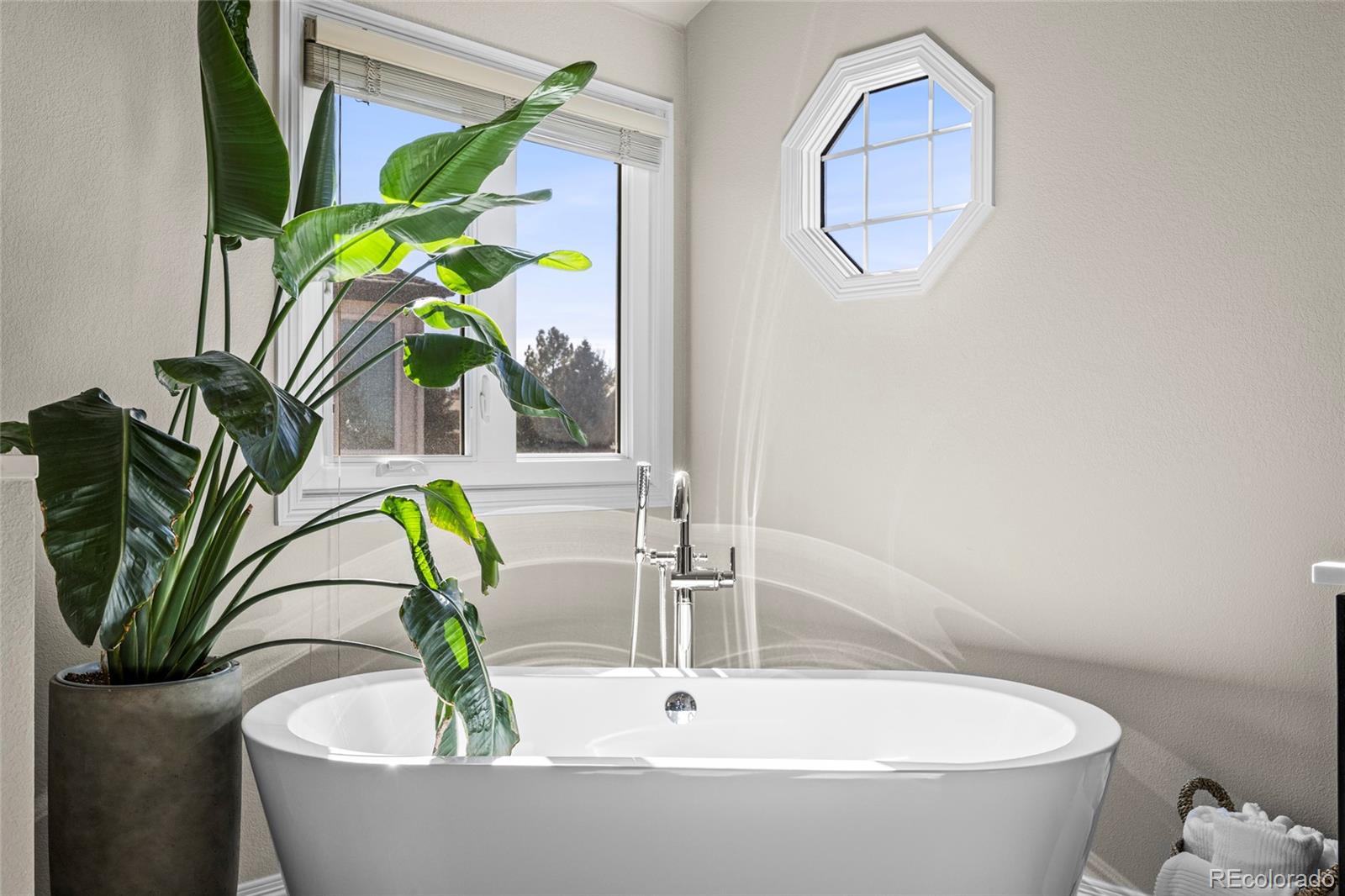 MLS Image #25 for 8555  green island circle,lone tree, Colorado