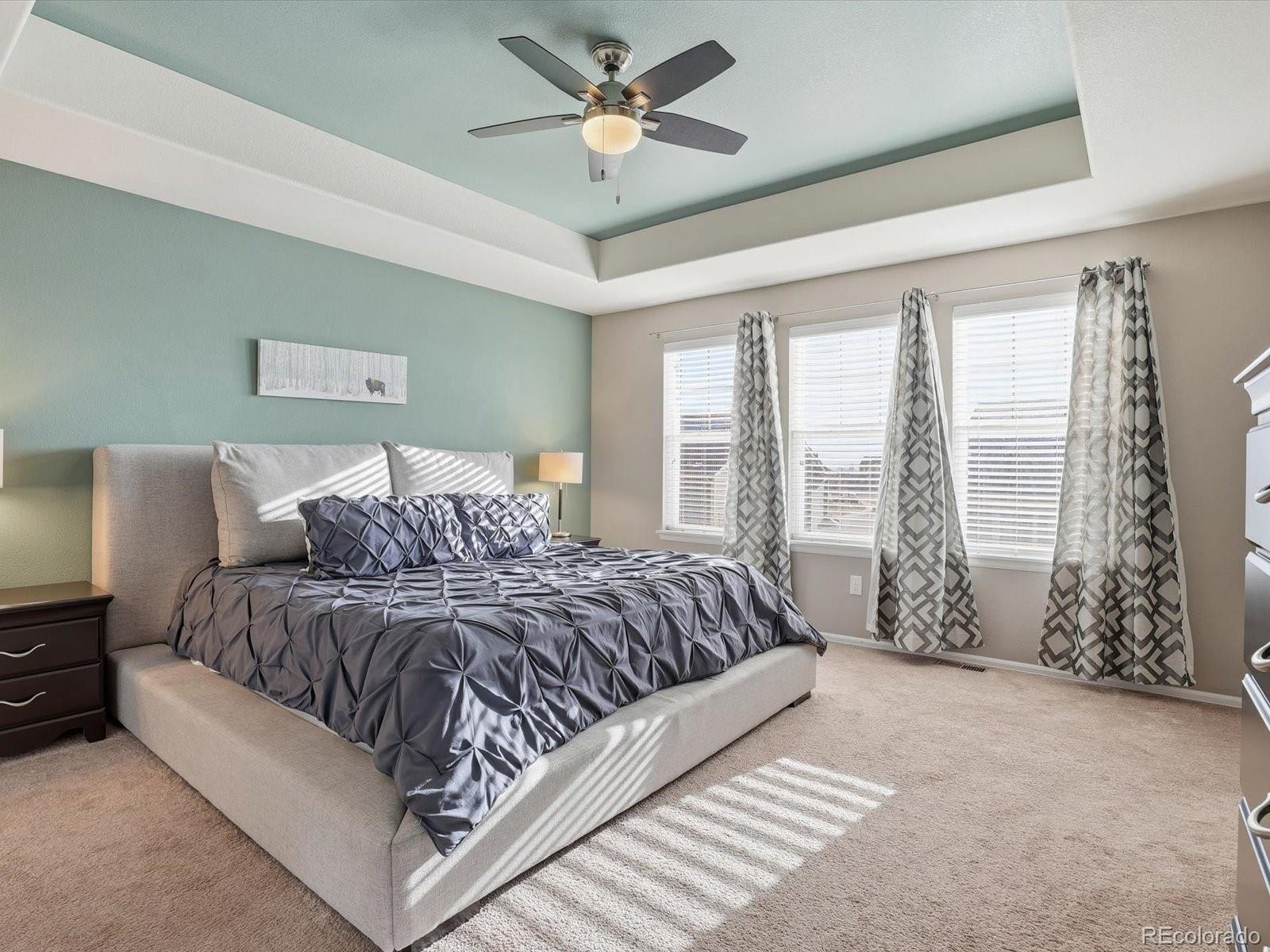 MLS Image #25 for 13336  olive street,thornton, Colorado