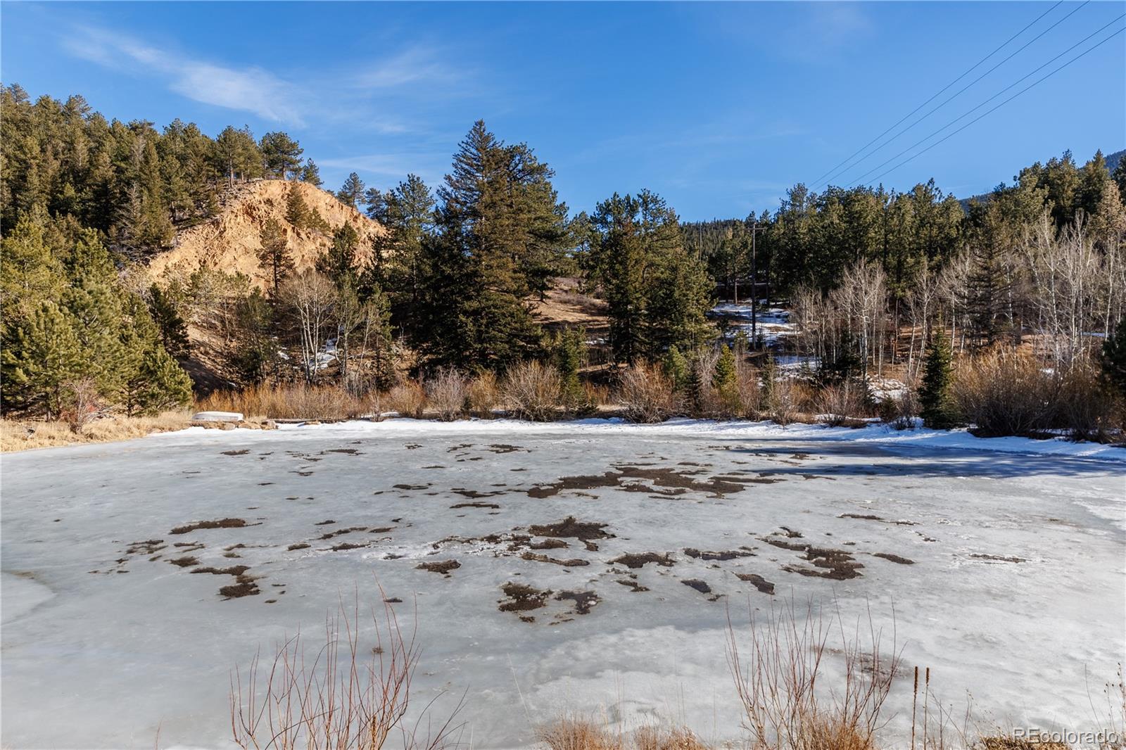 MLS Image #45 for 993  highway 7 business ,allenspark, Colorado