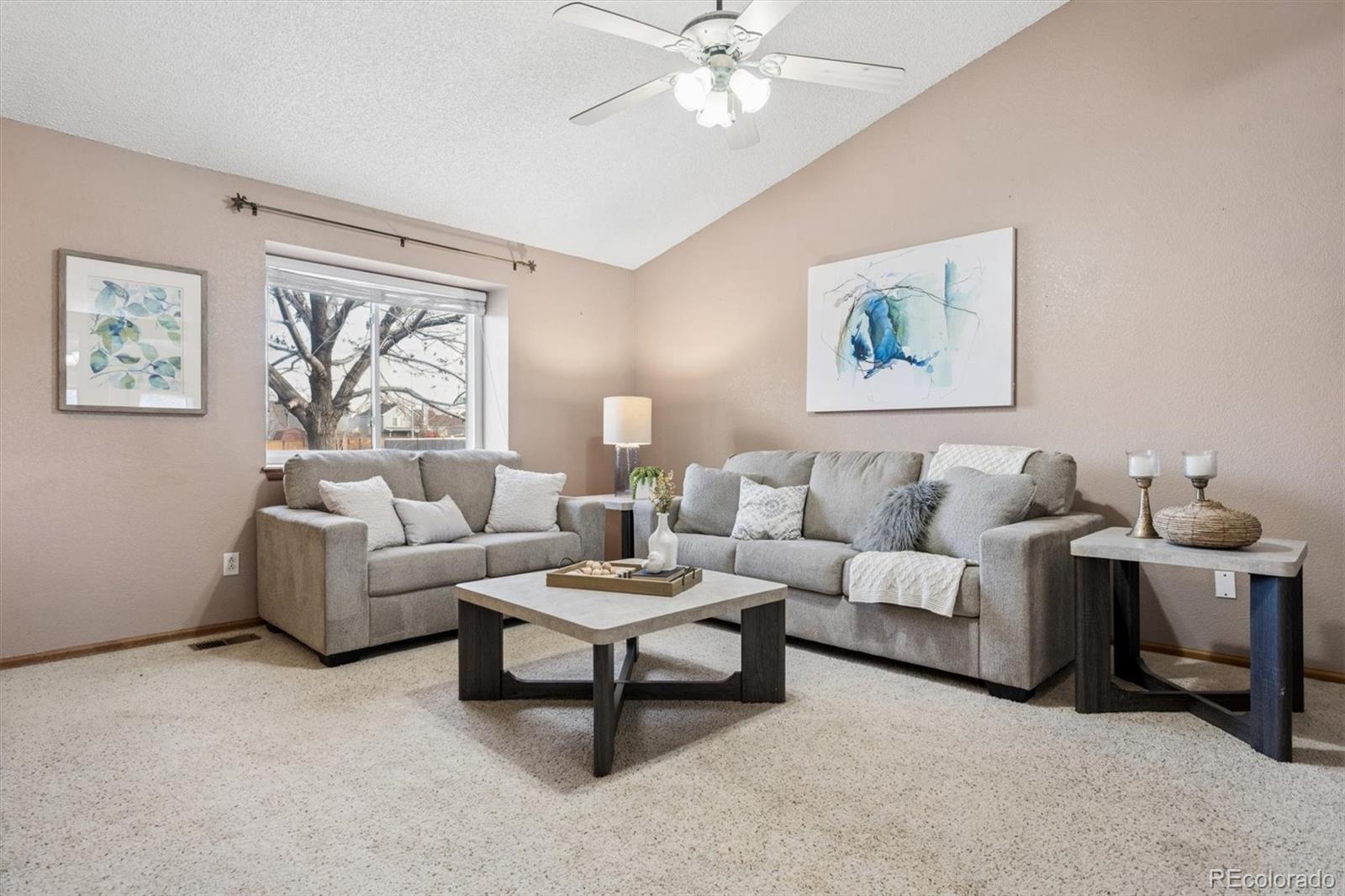 MLS Image #4 for 12147  hudson court,thornton, Colorado