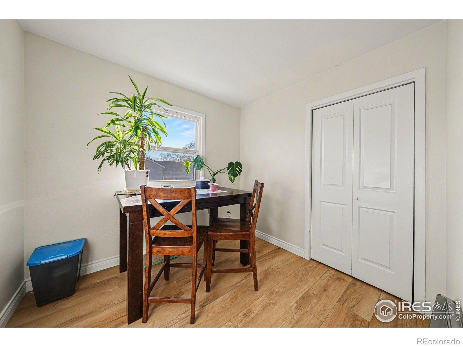 MLS Image #13 for 138  sunflower drive,windsor, Colorado