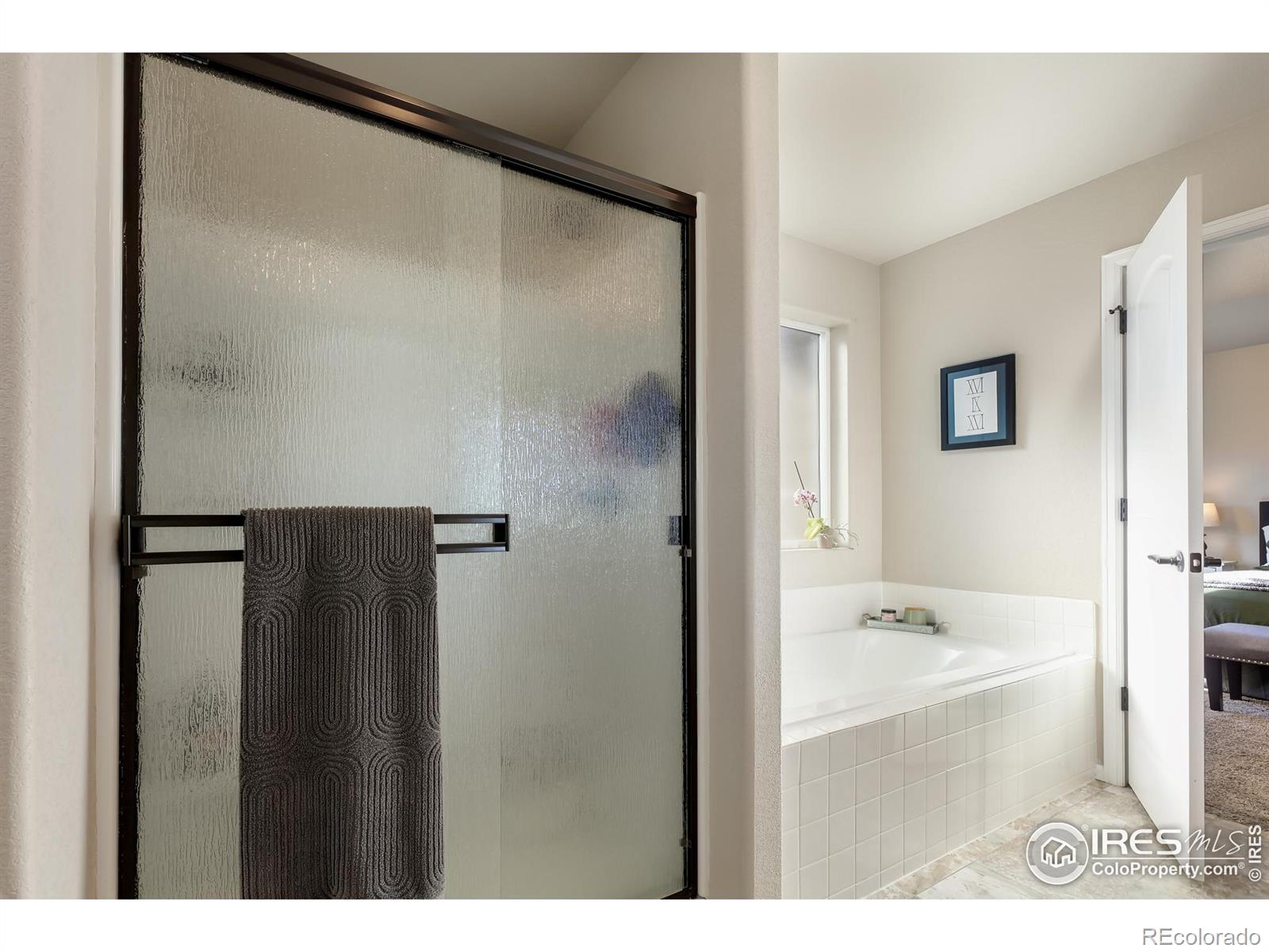 MLS Image #29 for 2716  sapphire street,loveland, Colorado