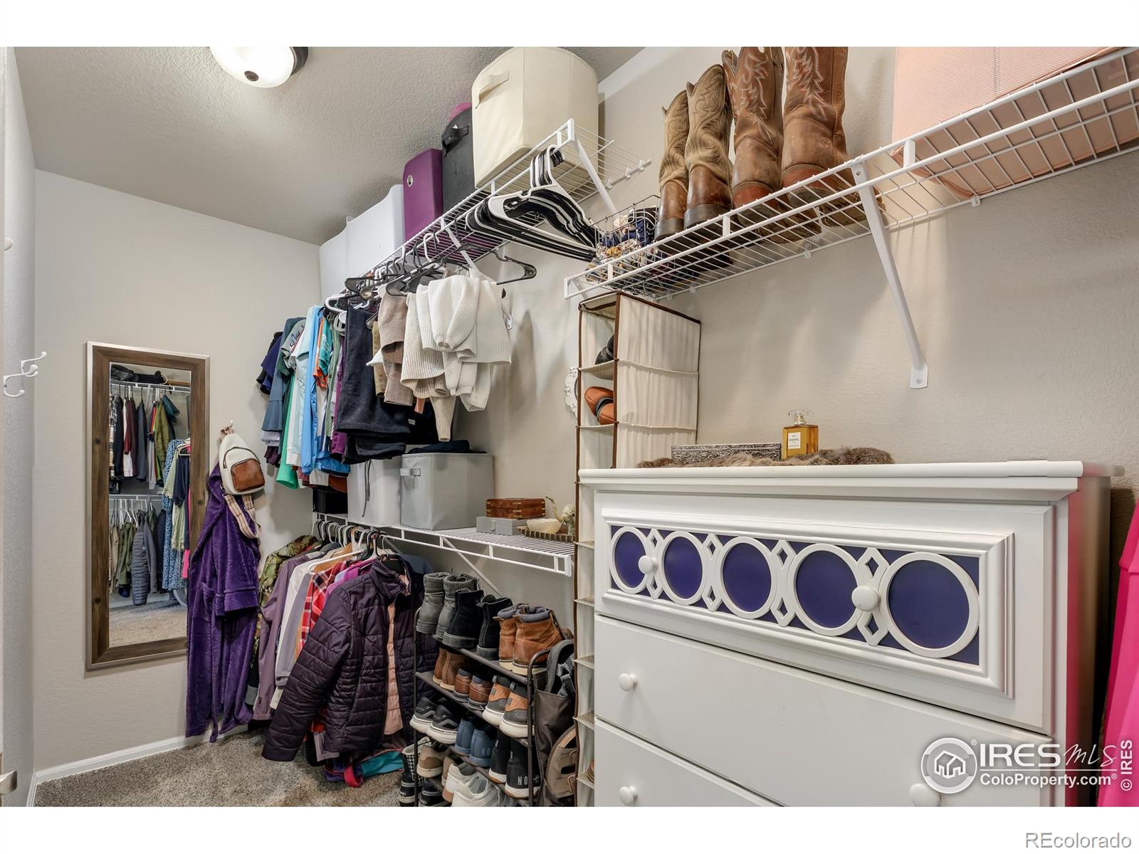MLS Image #31 for 2716  sapphire street,loveland, Colorado