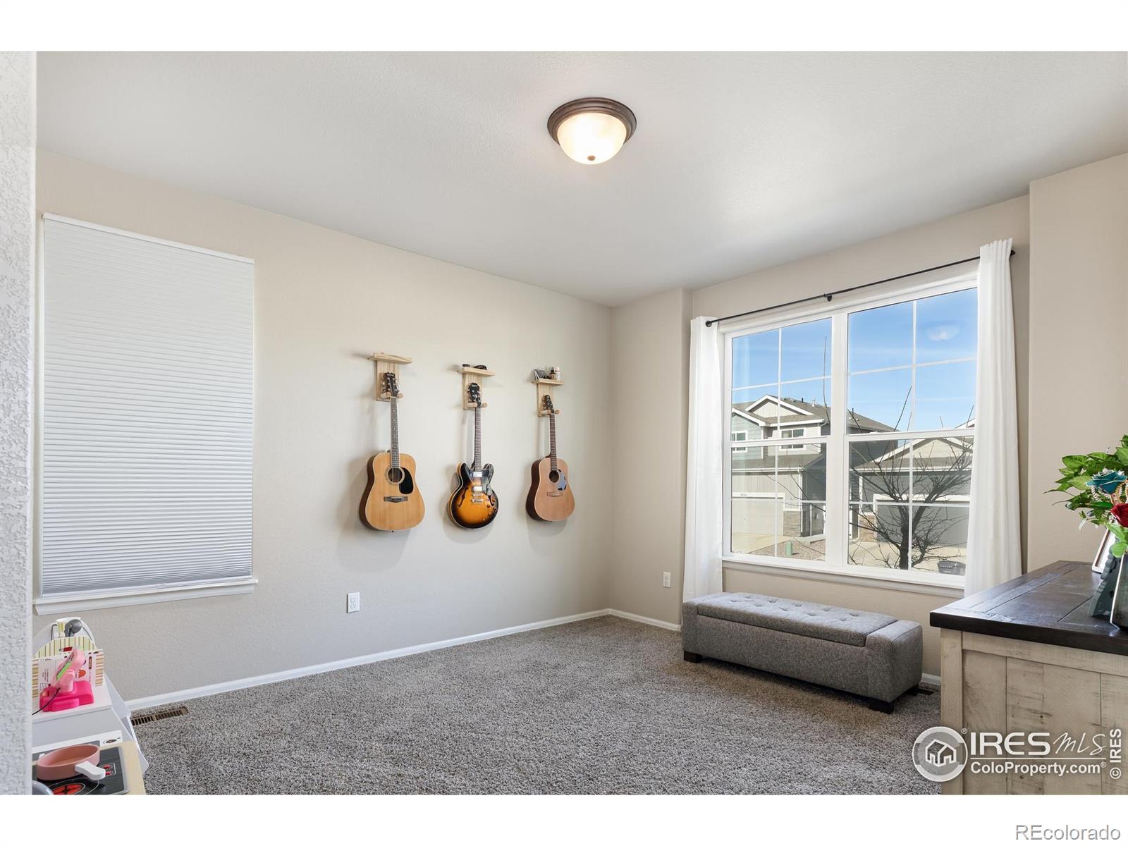 MLS Image #4 for 2716  sapphire street,loveland, Colorado