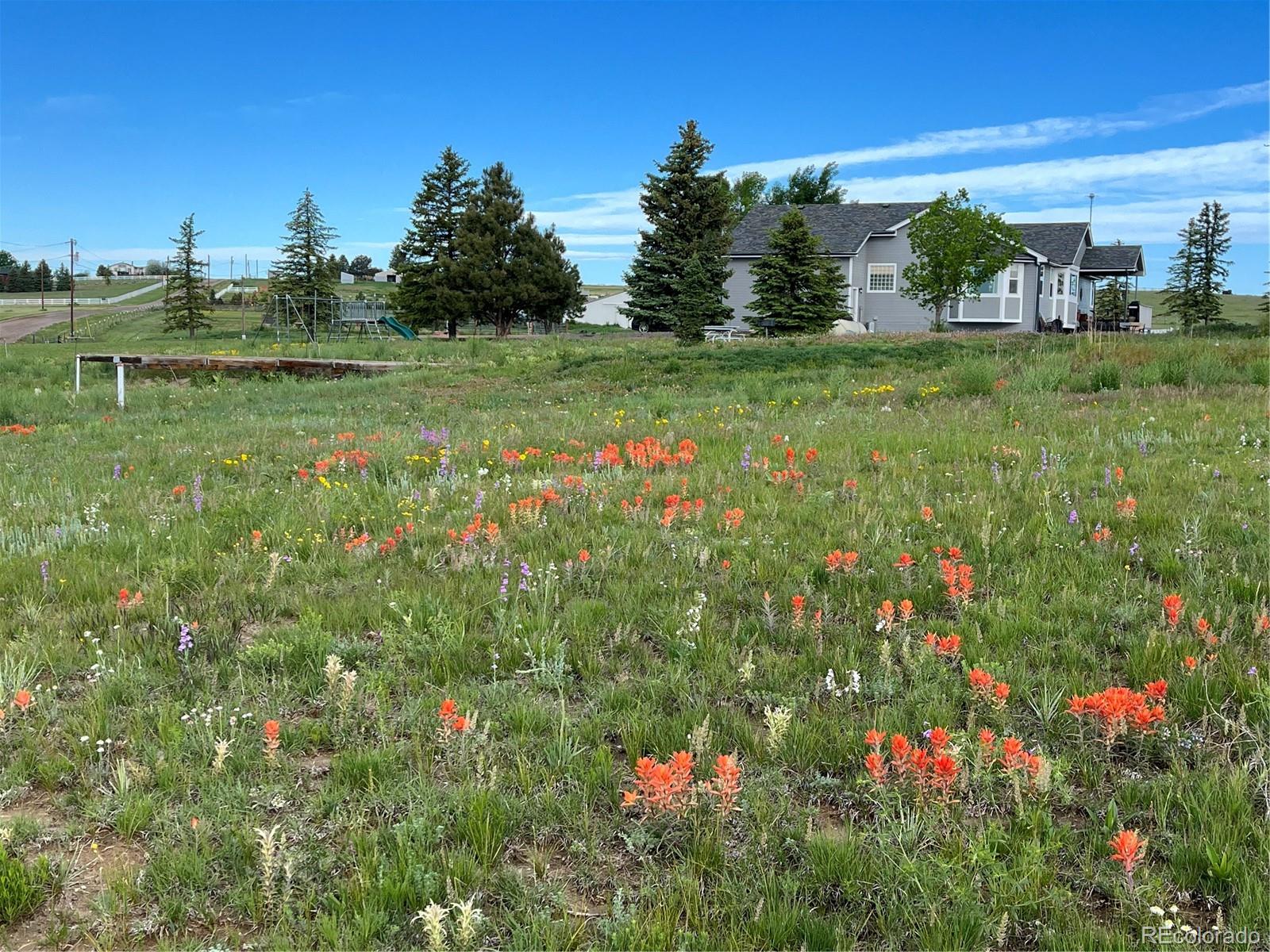 MLS Image #1 for 3447  wild rose circle,parker, Colorado