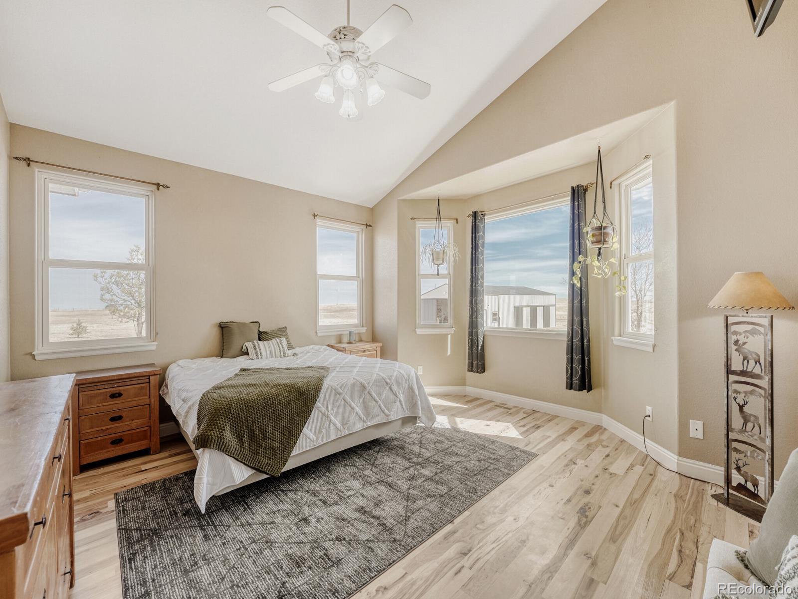MLS Image #14 for 3447  wild rose circle,parker, Colorado