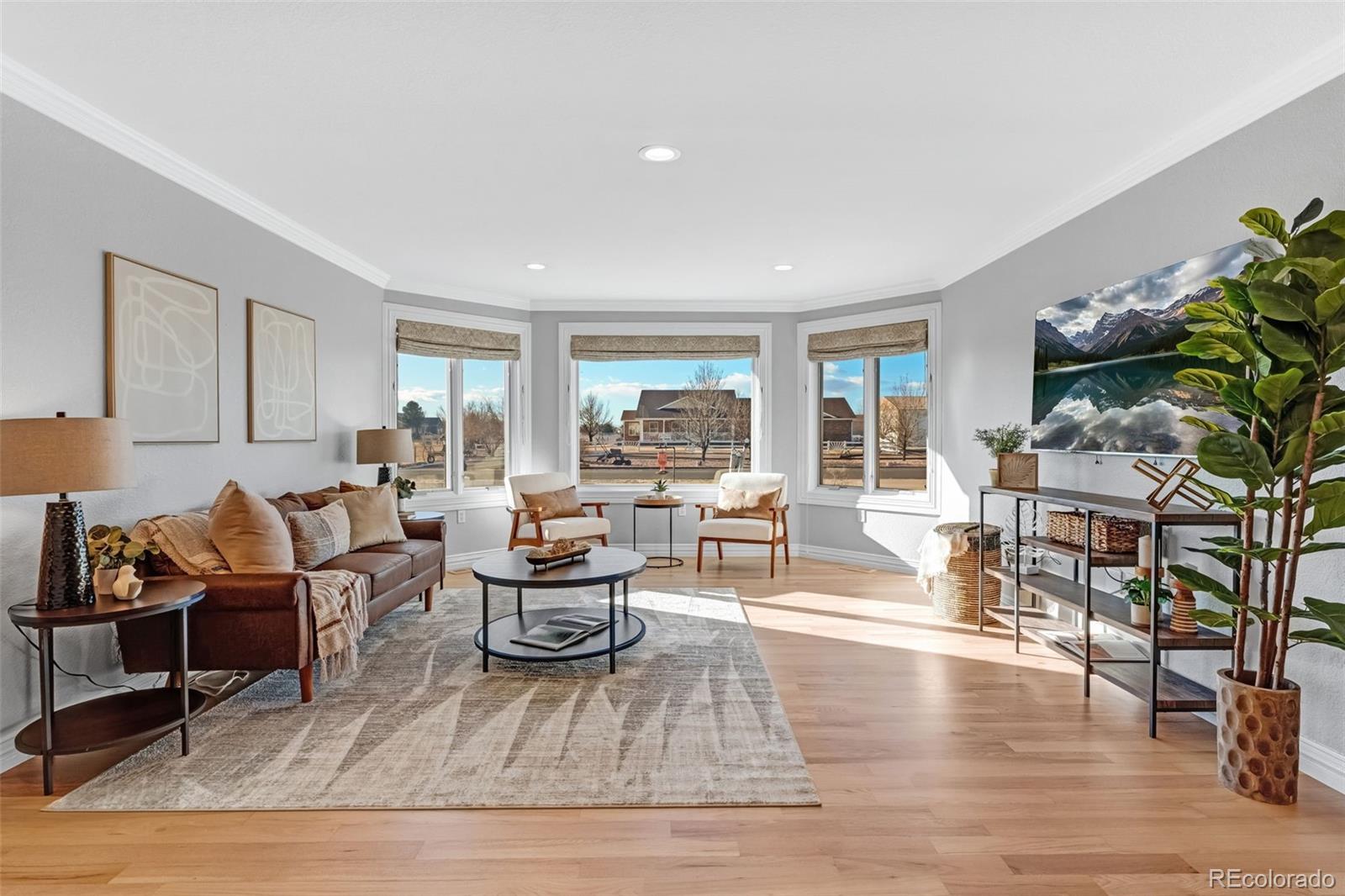 MLS Image #4 for 12503 e 115th avenue,henderson, Colorado