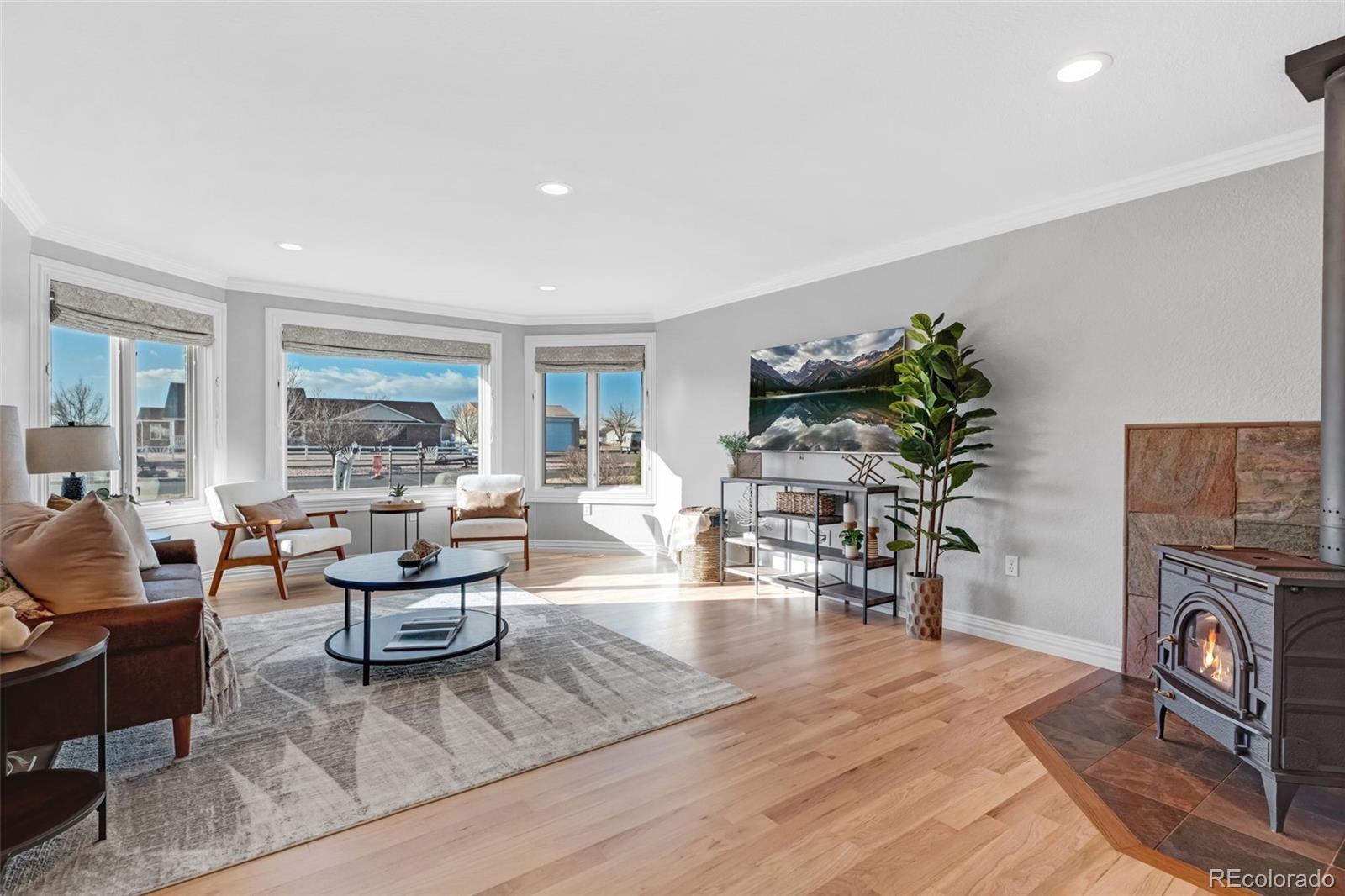 MLS Image #6 for 12503 e 115th avenue,henderson, Colorado