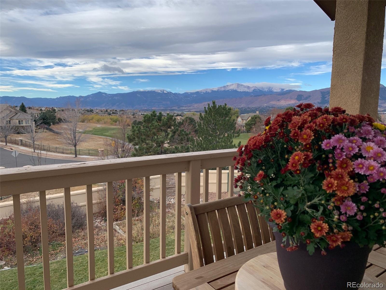 MLS Image #10 for 9935  sawleaf court,colorado springs, Colorado