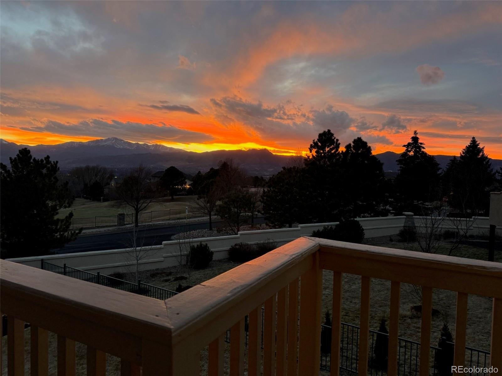 MLS Image #15 for 9935  sawleaf court,colorado springs, Colorado