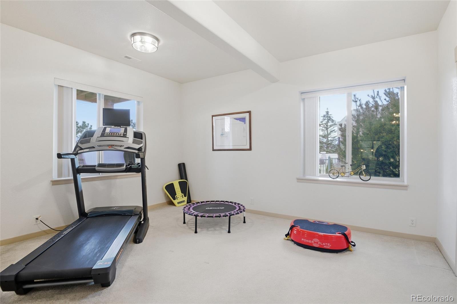 MLS Image #39 for 9935  sawleaf court,colorado springs, Colorado