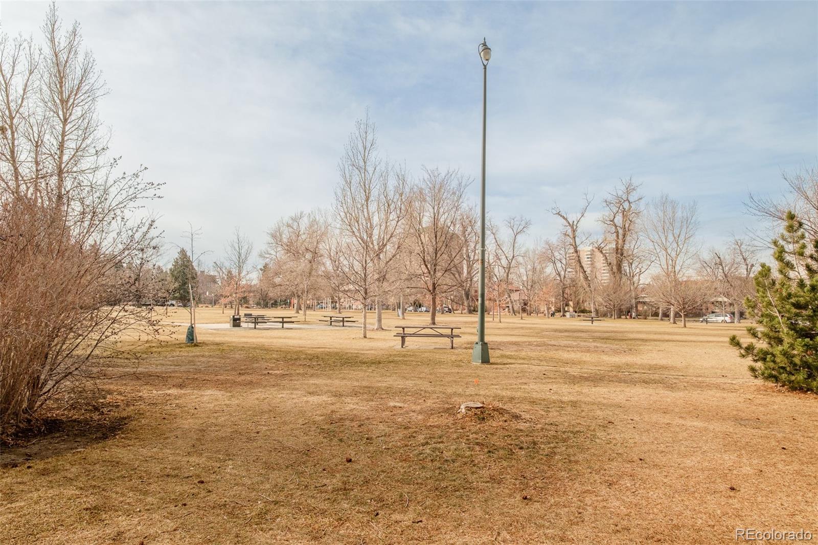 MLS Image #31 for 355 n ogden street,denver, Colorado