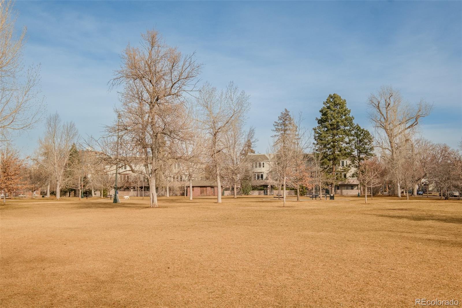 MLS Image #32 for 355 n ogden street,denver, Colorado