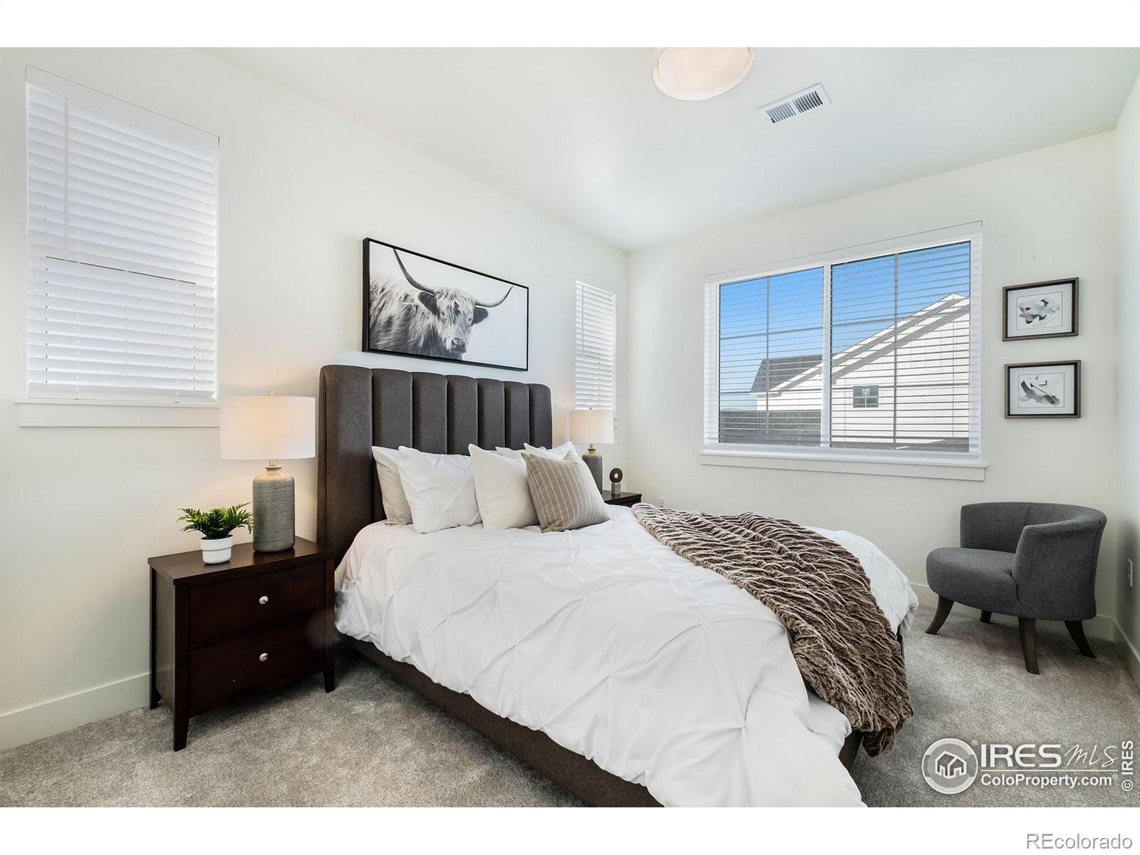 MLS Image #13 for 5198  stonewall street,loveland, Colorado