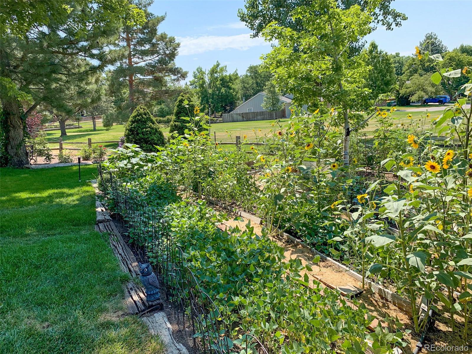 MLS Image #29 for 7518 s willow circle,centennial, Colorado