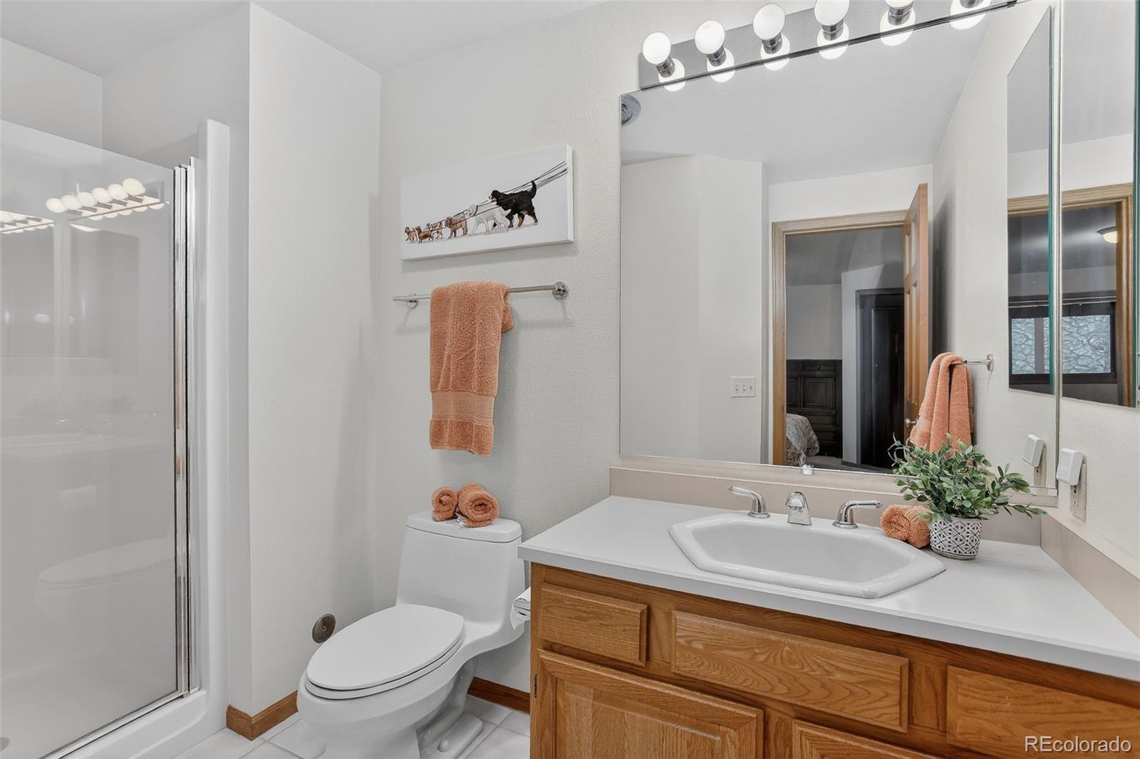 MLS Image #30 for 1209  northridge court,golden, Colorado