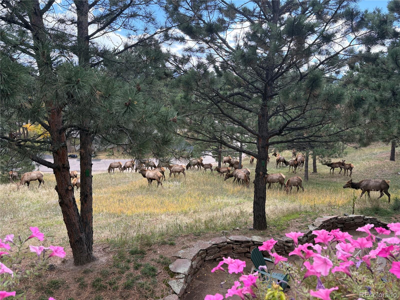 MLS Image #36 for 1209  northridge court,golden, Colorado