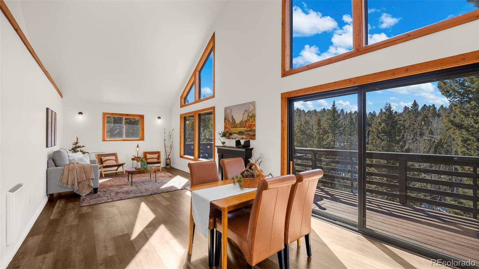 MLS Image #11 for 104  mt elbert drive,florissant, Colorado