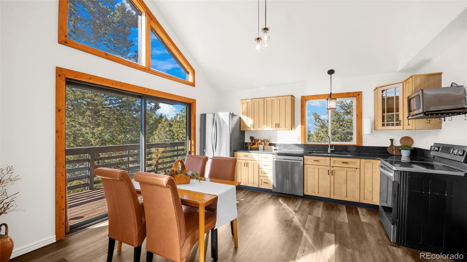 MLS Image #12 for 104  mt elbert drive,florissant, Colorado