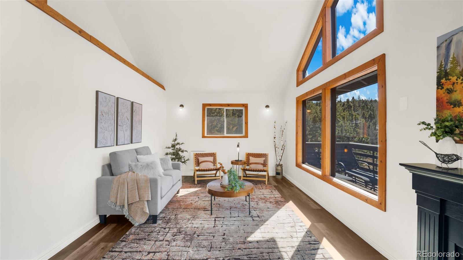 MLS Image #15 for 104  mt elbert drive,florissant, Colorado