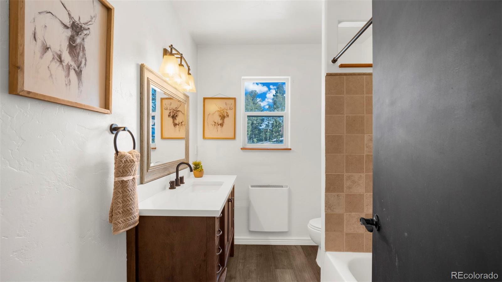MLS Image #17 for 104  mt elbert drive,florissant, Colorado