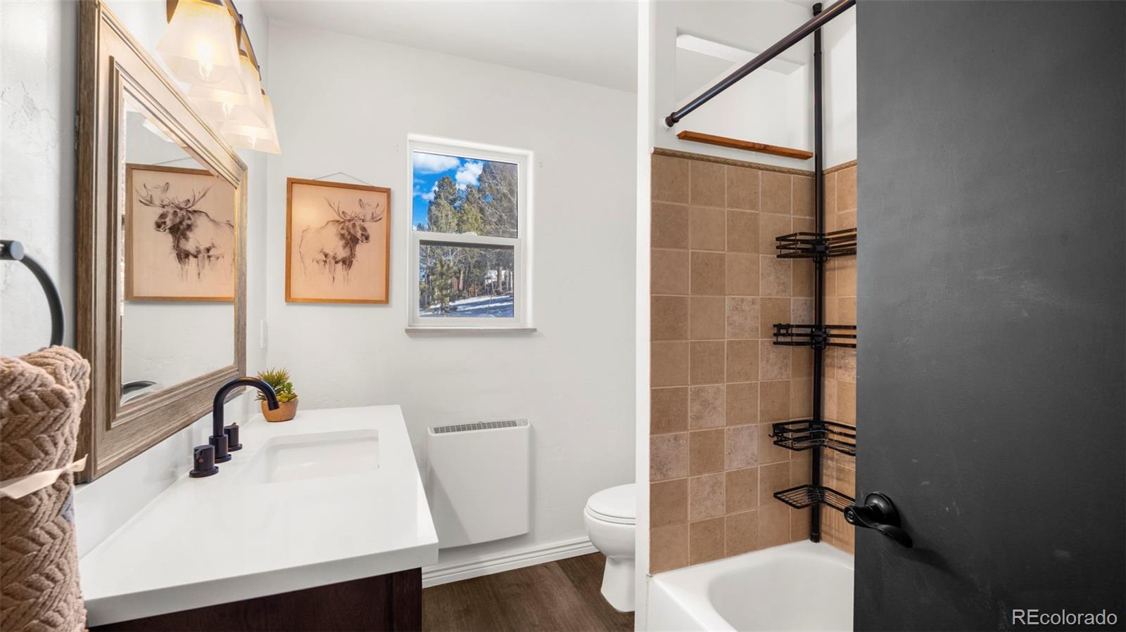 MLS Image #18 for 104  mt elbert drive,florissant, Colorado