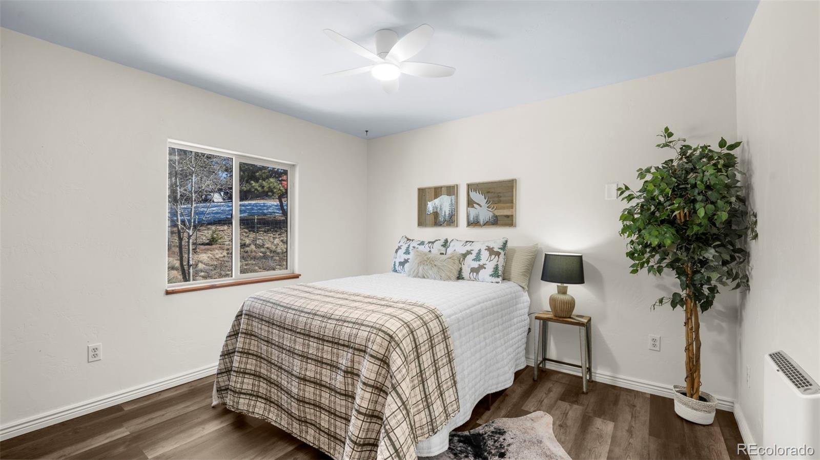 MLS Image #19 for 104  mt elbert drive,florissant, Colorado