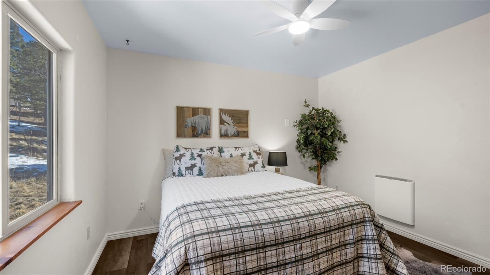 MLS Image #20 for 104  mt elbert drive,florissant, Colorado