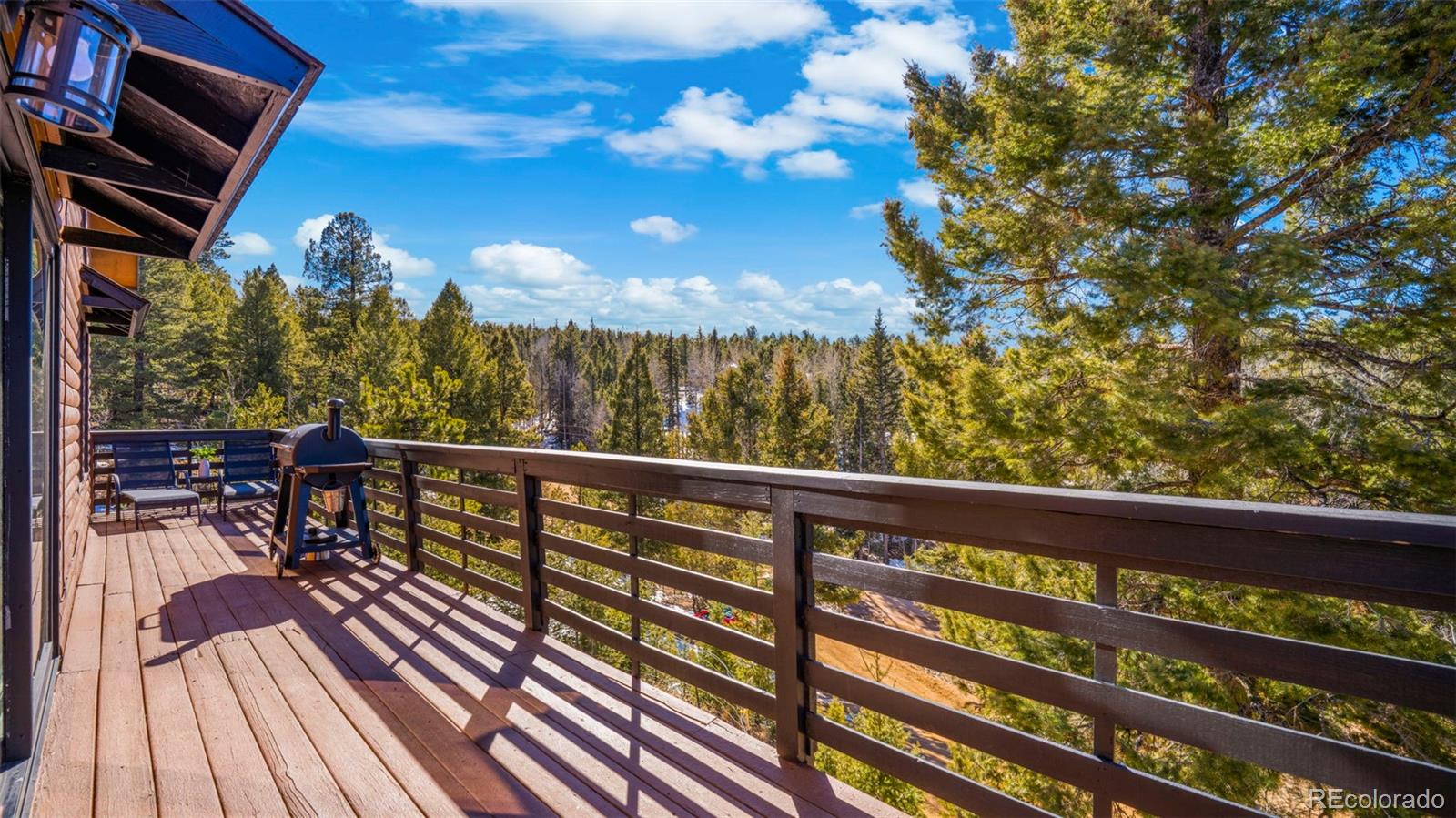MLS Image #22 for 104  mt elbert drive,florissant, Colorado
