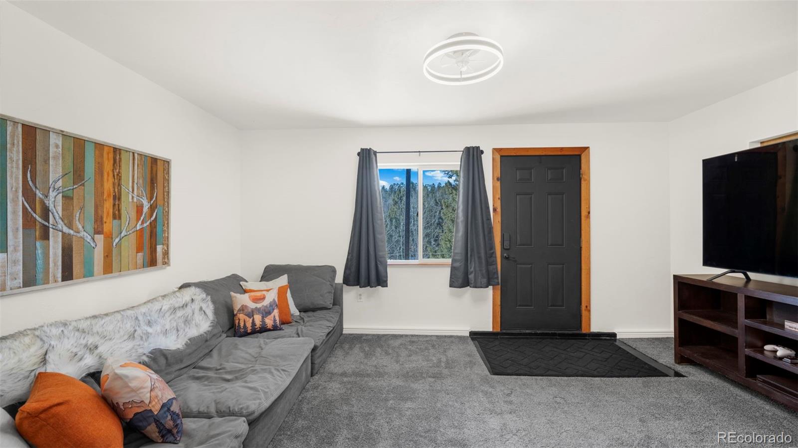 MLS Image #26 for 104  mt elbert drive,florissant, Colorado