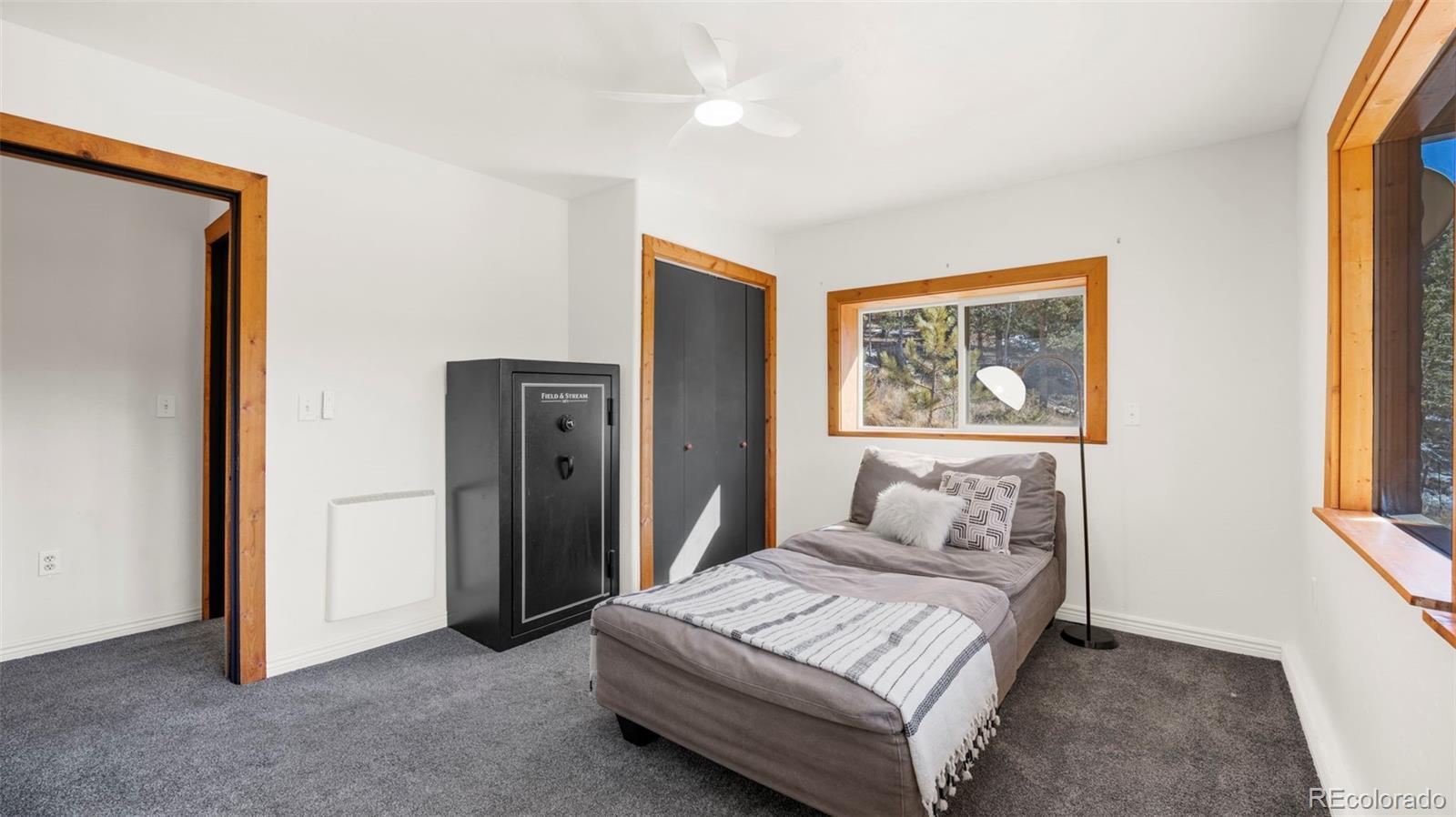 MLS Image #28 for 104  mt elbert drive,florissant, Colorado