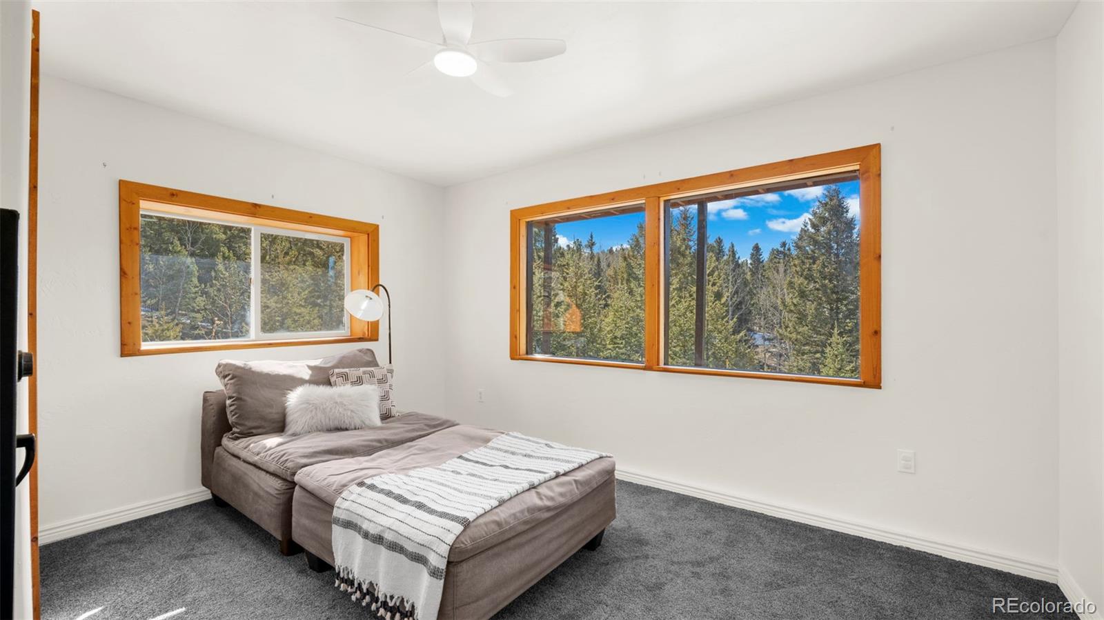 MLS Image #29 for 104  mt elbert drive,florissant, Colorado