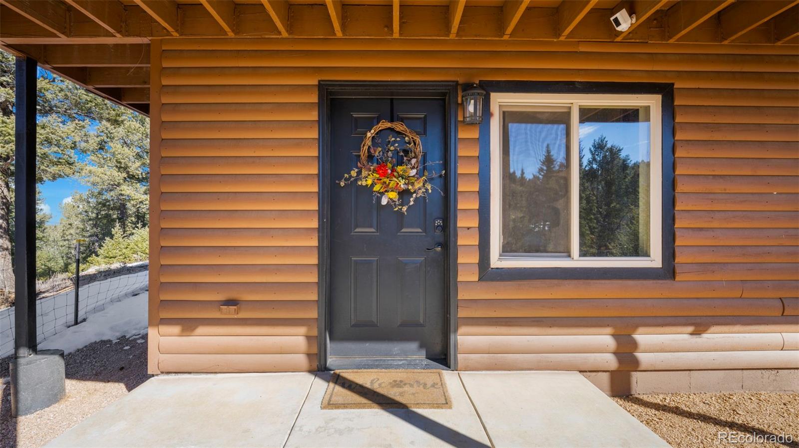 MLS Image #6 for 104  mt elbert drive,florissant, Colorado