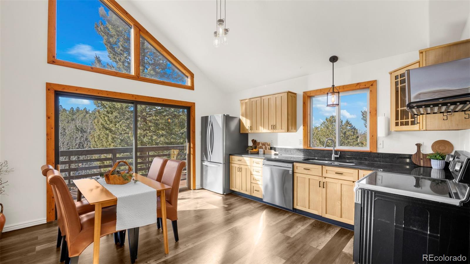 MLS Image #7 for 104  mt elbert drive,florissant, Colorado