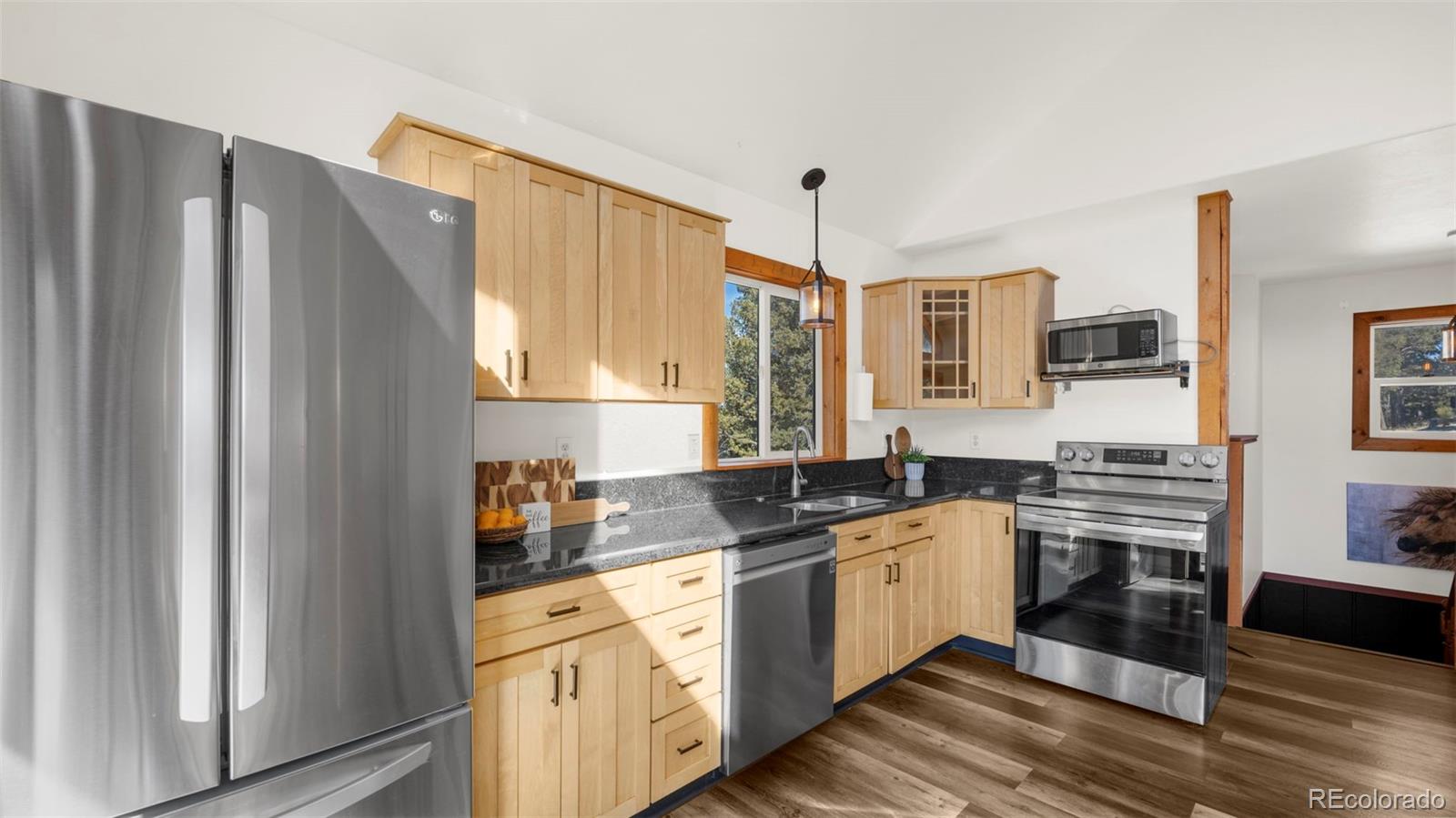 MLS Image #9 for 104  mt elbert drive,florissant, Colorado